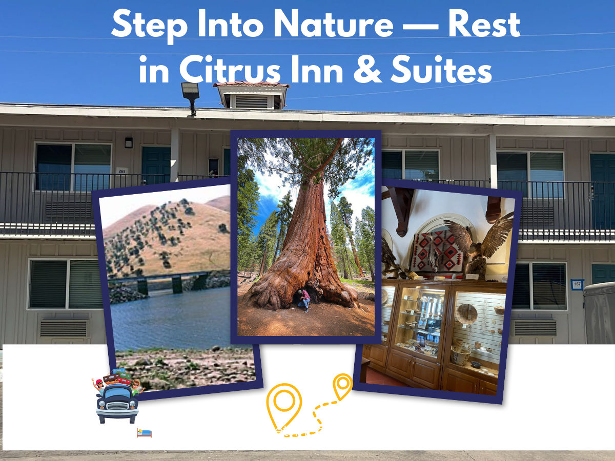 Hotels Near Lake Success Porterville CA